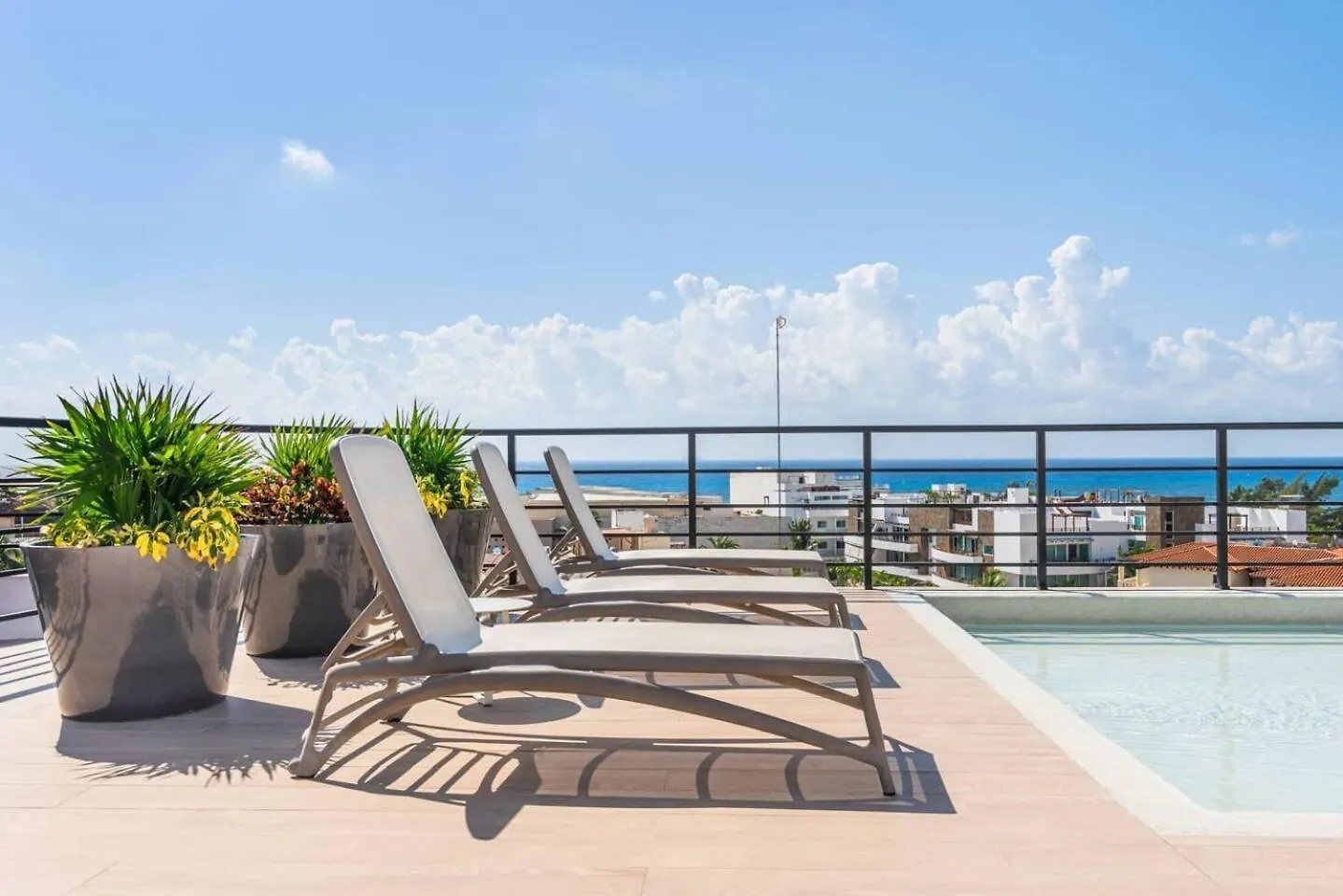 Luxury 1Br, 200M From The Beach Rooftop Ocean View Playa del Carmen 0*,  Mexico